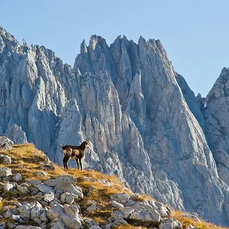 Almi's Obernberg am Brenner