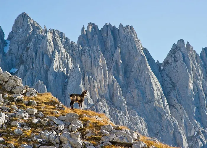 Almi's Obernberg am Brenner
