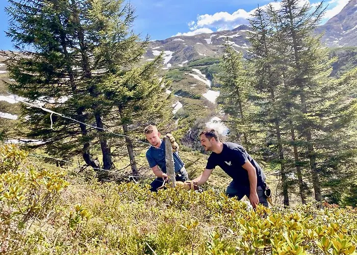 Almi's 3* Obernberg am Brenner