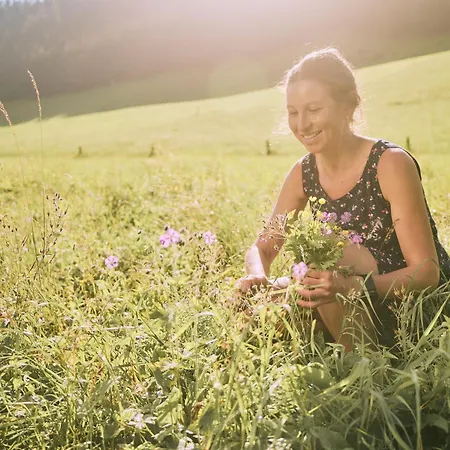 Hotel Almi's Obernberg am Brenner